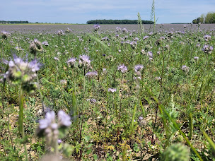 Photo n°8 de La Ferme des Cinq Terres à Lugny-Champagne (Ferme)