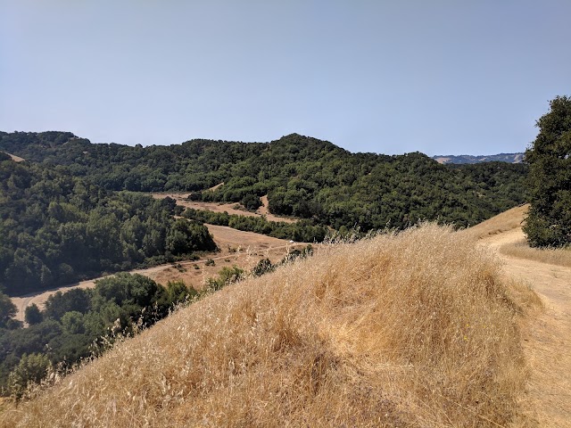 Roys Redwoods Preserve