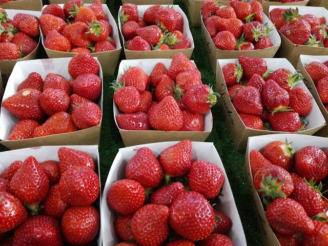Marché Couvert de Villefranche sur Saône