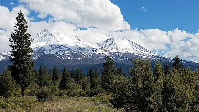 Shasta-Trinity National Forest