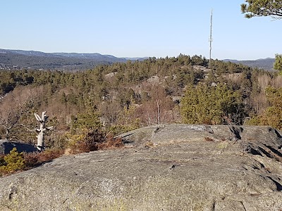 Photos of Tingsaker Familiecamping