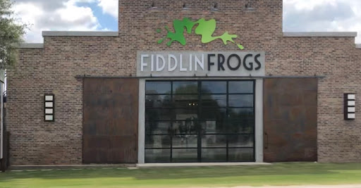 Fiddlin Frogs - Visual