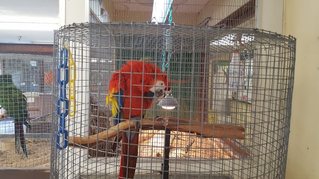Magnolia Bird Farm