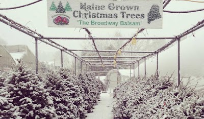 Broadway Gardens Greenhouses Inc.