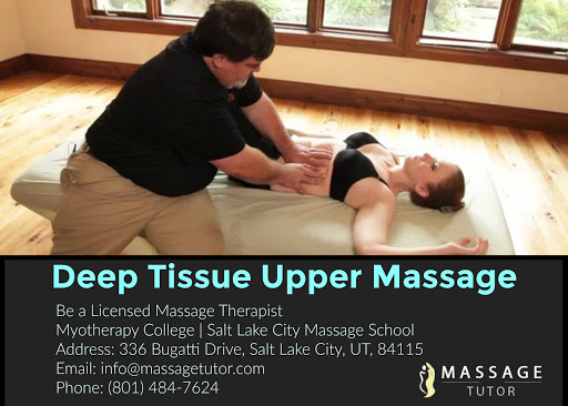 Massage Tutor - Visual