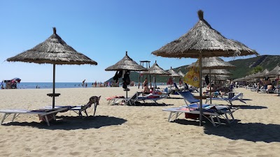 Photos of Insifa Beach