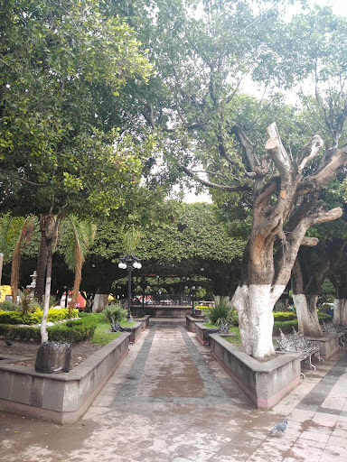Principal Comonfort Garden - Thumbnail