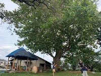 オギノエン･ファーム