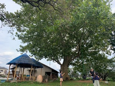 オギノエン･ファーム