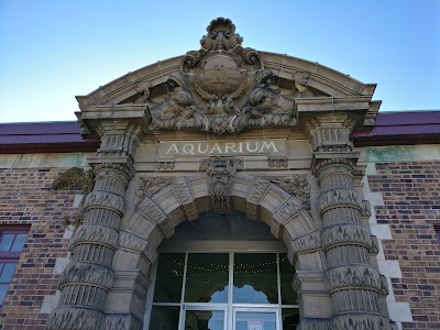 Belle Isle Aquarium