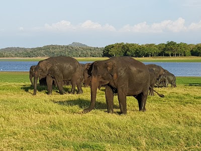 Photos of Adventurers Lanka Sfaries
