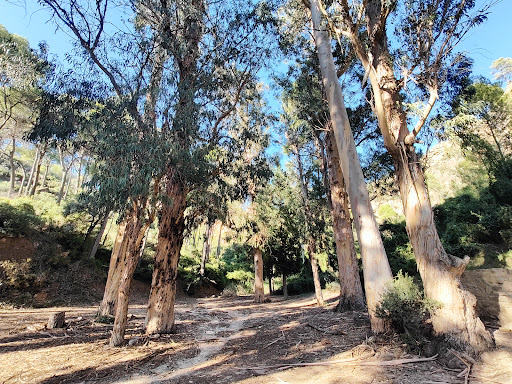 Font del Marge