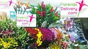 Florerias Delivery 5