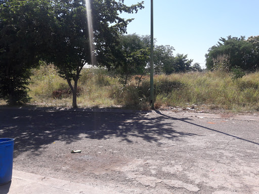 Los Ángeles (Cerritos)