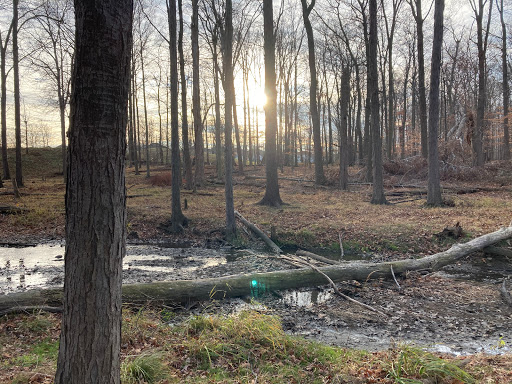 White Tail creek