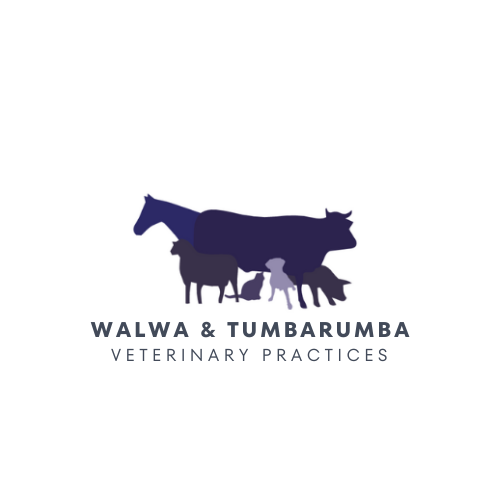 Walwa Veterinary Practice Gallery - Australia