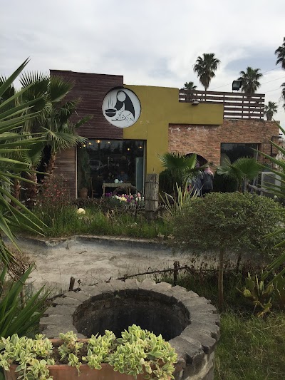 Photos of Madar Bozorg Traditional Restaurant 🍴