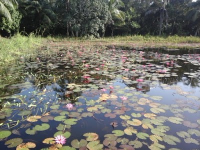 Photos of Harbaria Eco Park Jetty, Sundarbans