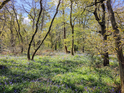 Holly Bush Farm