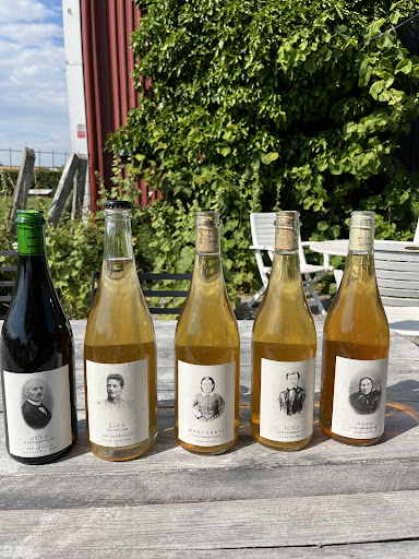 Hällåkra Vineyard - Visual