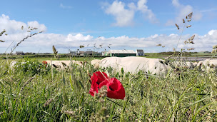 Photo n°4 de Altéor Transaction à Noyal-Pontivy (Agence immobilière)
