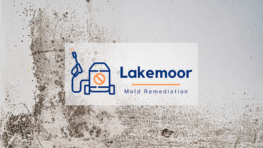 Lakemoor Mold Remediation photo
