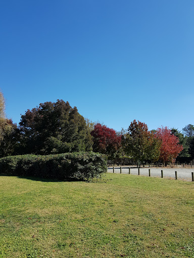 Portsea Oval - Thumbnail