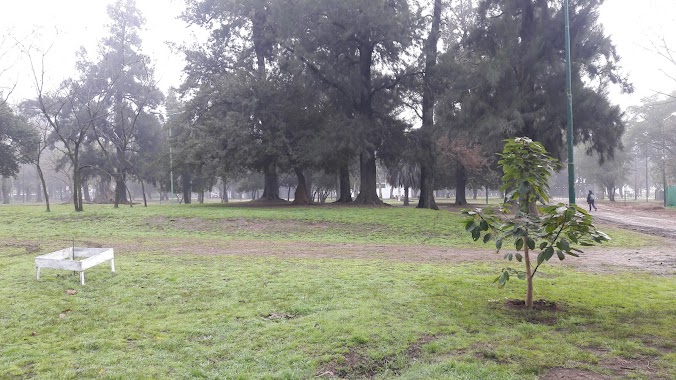 Parque Municipal Lomas de Zamora, Author: favio javier rodriguez