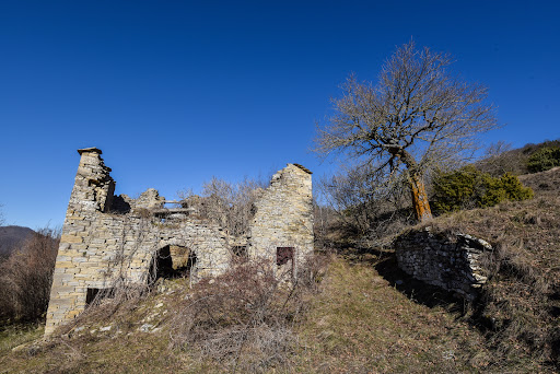Vesina - Visual