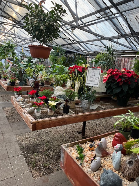 Wolf Trap Nursery