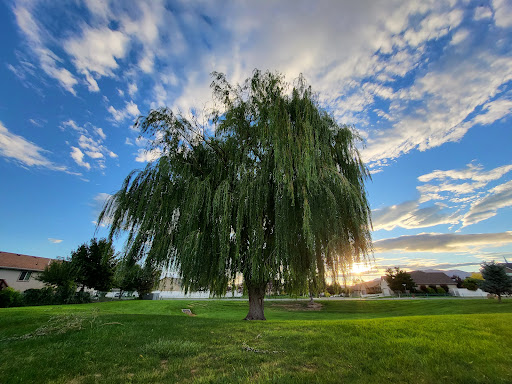 Temple View Park - Visual