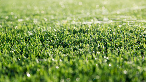 Photo de Garden Park Concept - Agence d'Entraigues s/Sorgue - Revêtements extérieurs de qualité à Entraigues-sur-la-Sorgue (84320)