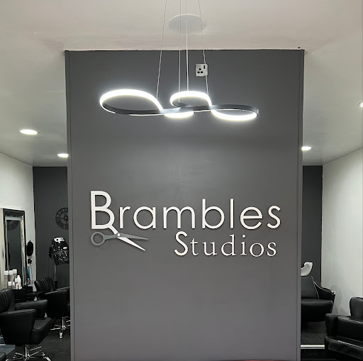 Brambles Studios - Thumbnail