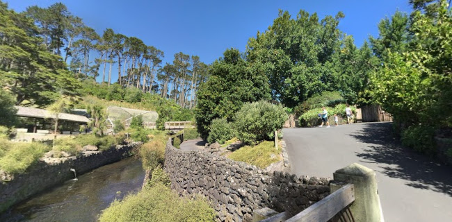Auckland Zoo - Auckland