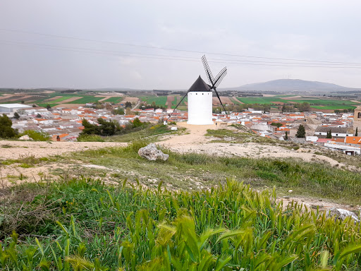 Molinos de Viento de El Romeral Gallery - Spain