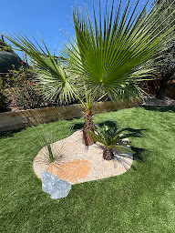 Photo n°28 de BEGO GARDEN 𝒥𝑒𝓇𝑒𝓂𝓎 𝐵𝑒𝑔𝑜 à Colombiers (Paysagiste)