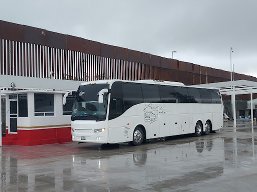 Executive Tour - Visual