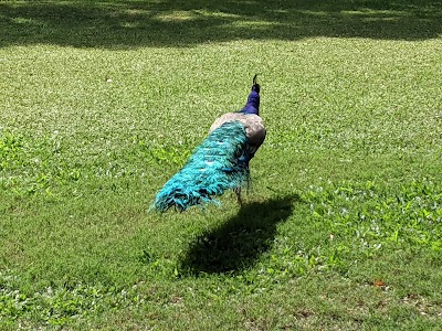 Honolulu Zoo