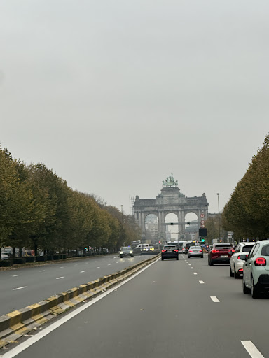 MARC DERELY