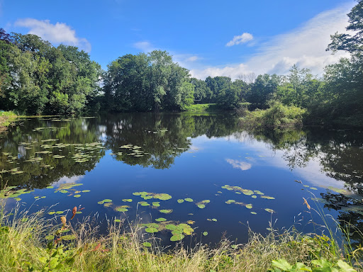 Kupferteich - Visual