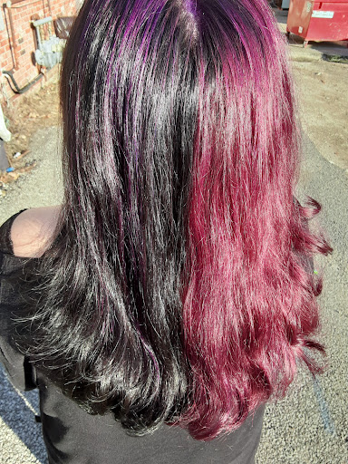 Hair Artist Ali LLC Gallery - United States