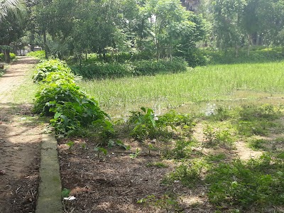 Photos of Jhenaigati Stadium