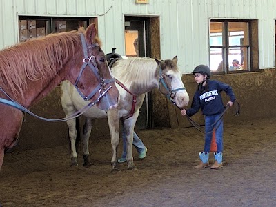 Bunker Park Stables