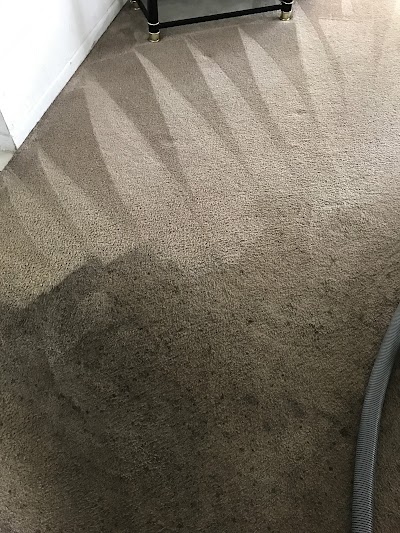 Alpha Carpet Care