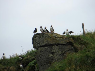 Photos of Vigur