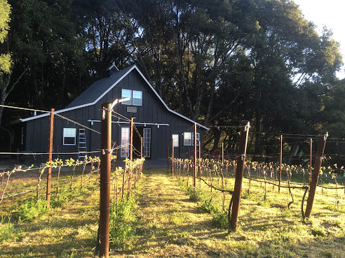 Madson Wines by null