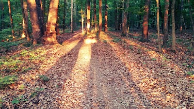 Photos of Fox Ridge State Park