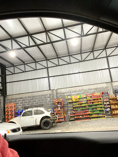 El Primi Servi Gallery - Mexico