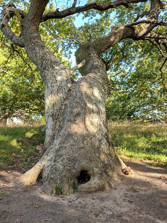 Stora Amundön