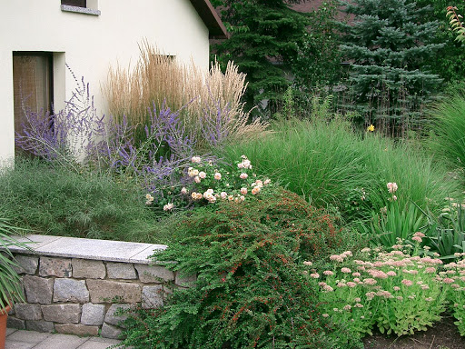 Morgenstern garten & landschaft - Thumbnail